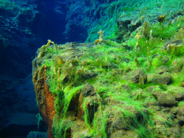 Исландия. 18-27.07.09. Исландия. 18-27.07.09.