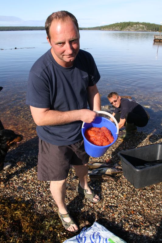 БМ. Август 2009 БМ. Август 2009