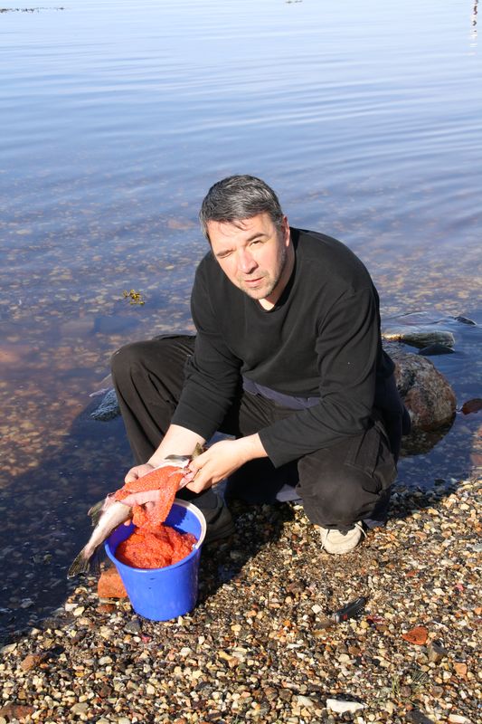 БМ. Август 2009 БМ. Август 2009