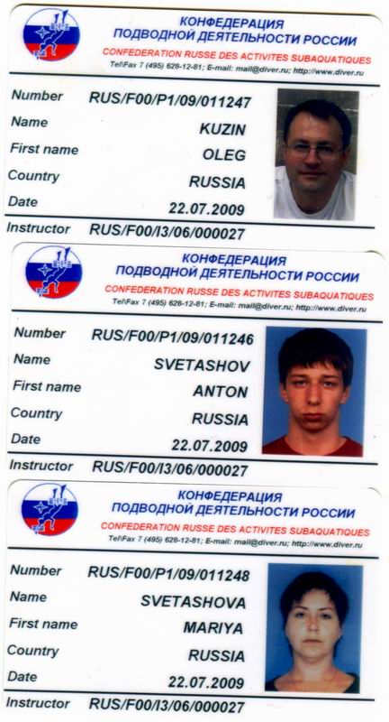 карточки карточки