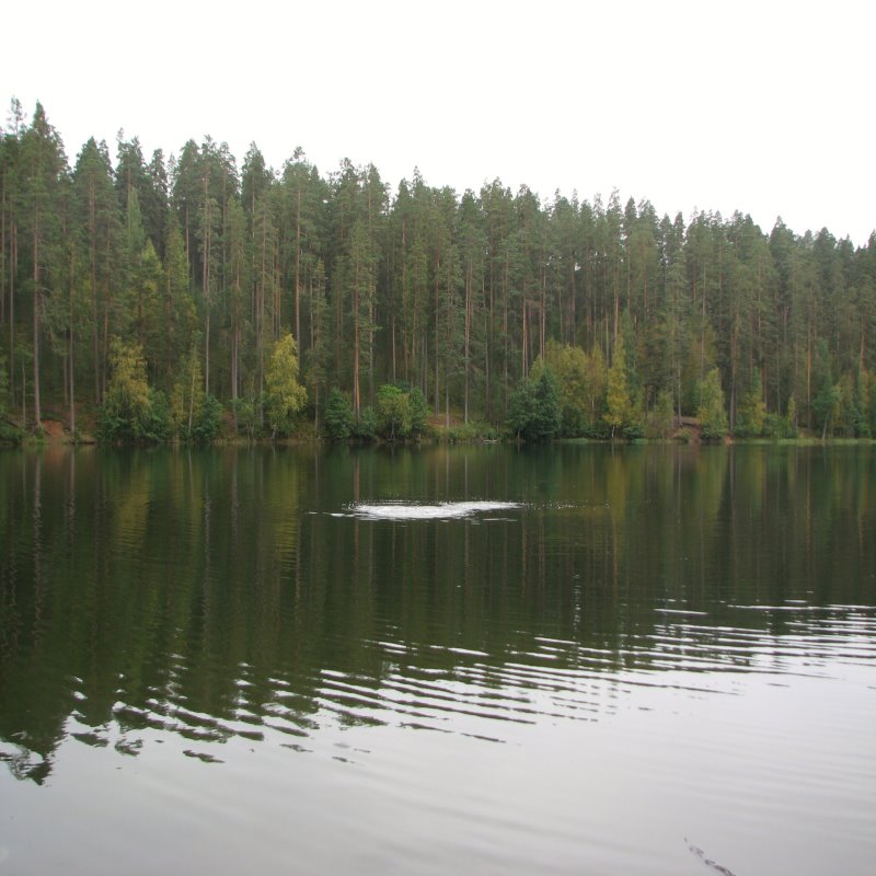 Озеро Берестовое