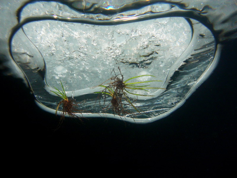 Натюрморт подольдом, композиция 1 Натюрморт подольдом, композиция 1