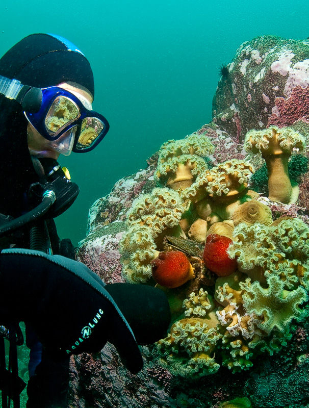 Бухта Витязь Бухта Витязь