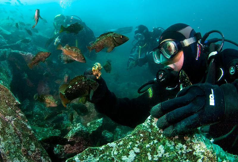 Бухта Витязь Бухта Витязь