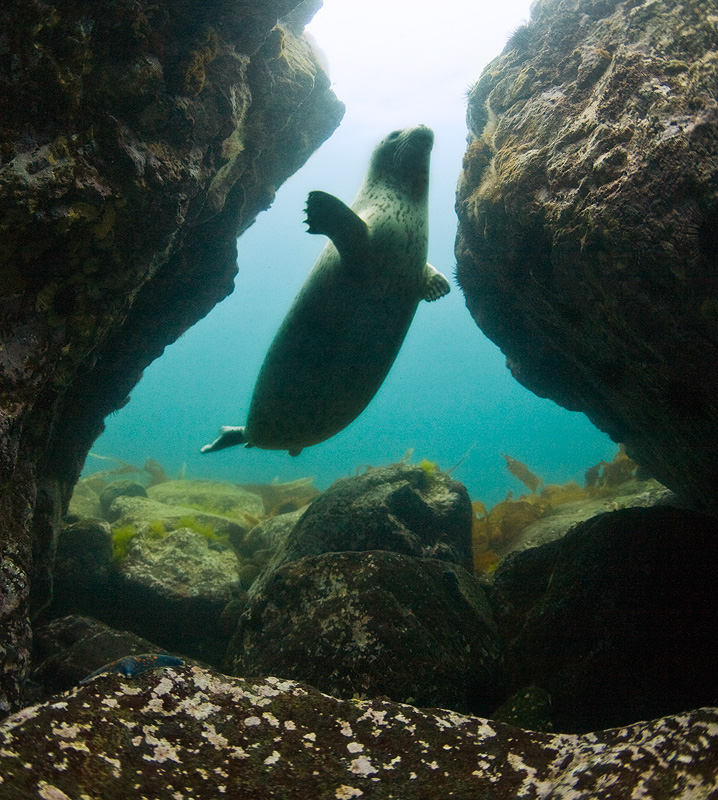 Бухта Витязь Бухта Витязь