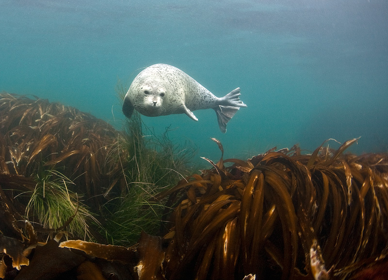 Бухта Витязь Бухта Витязь