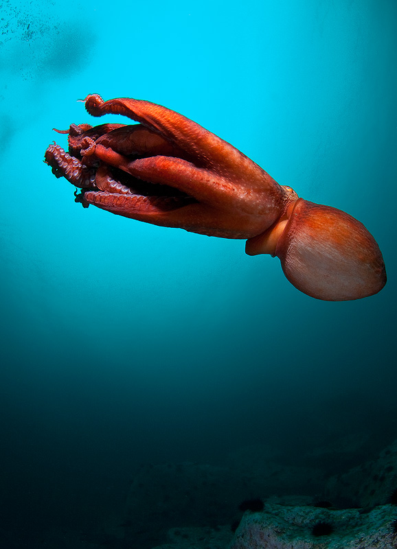 Бухта Витязь Бухта Витязь