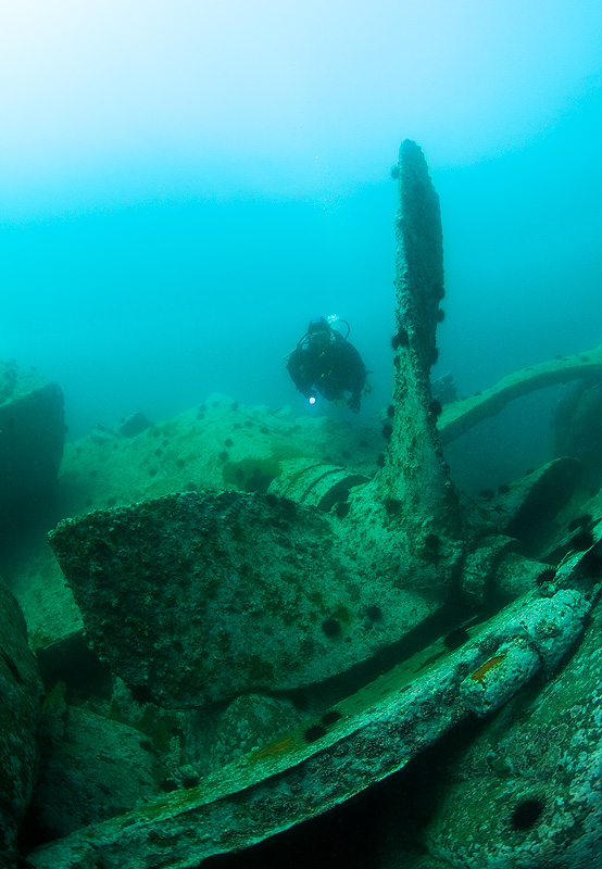 Бухта Витязь Бухта Витязь