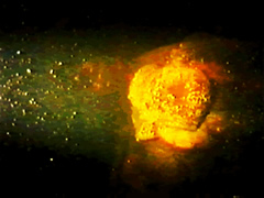 г3