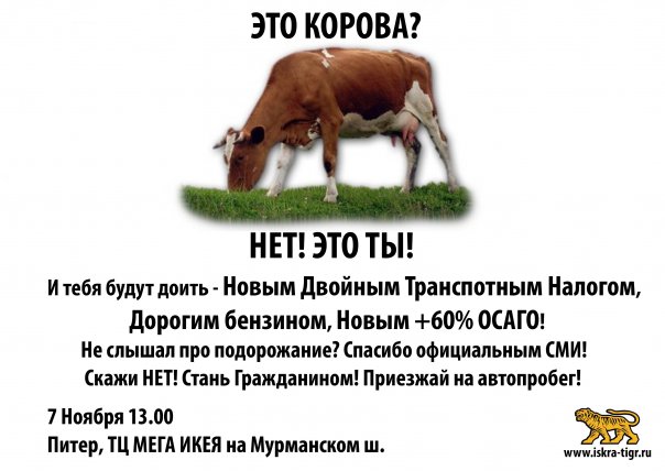 листовка