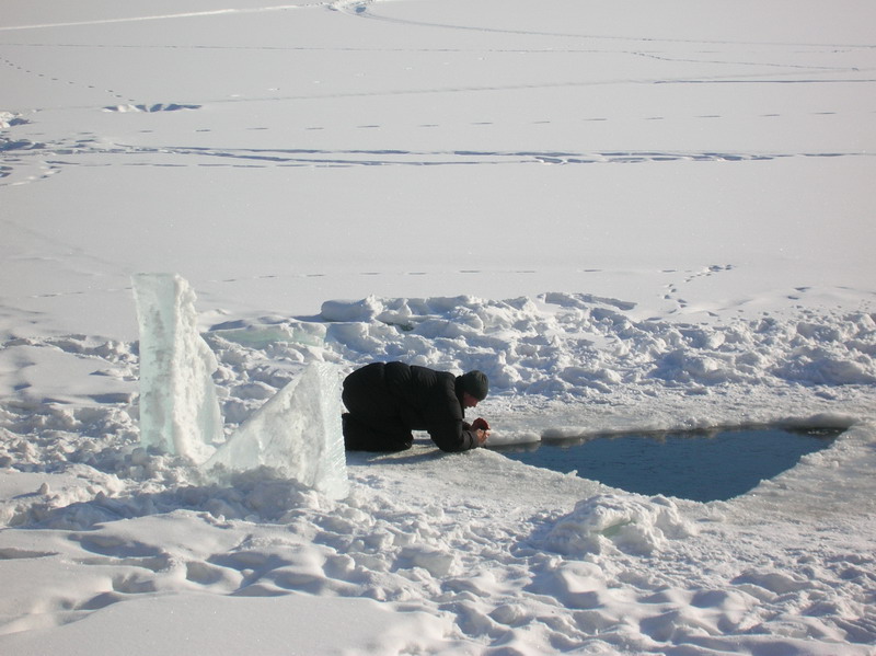Жабий карьер Жабий карьер