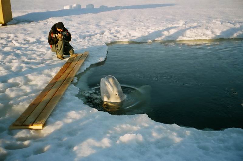 Белое море, ПК, 16-18.03.07 Белое море, ПК, 16-18.03.07