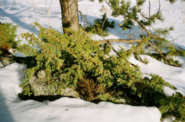Белое море, ПК, 16-18.03.07