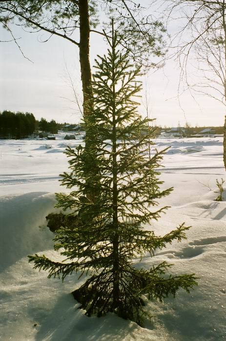 Белое море, ПК, 16-18.03.07