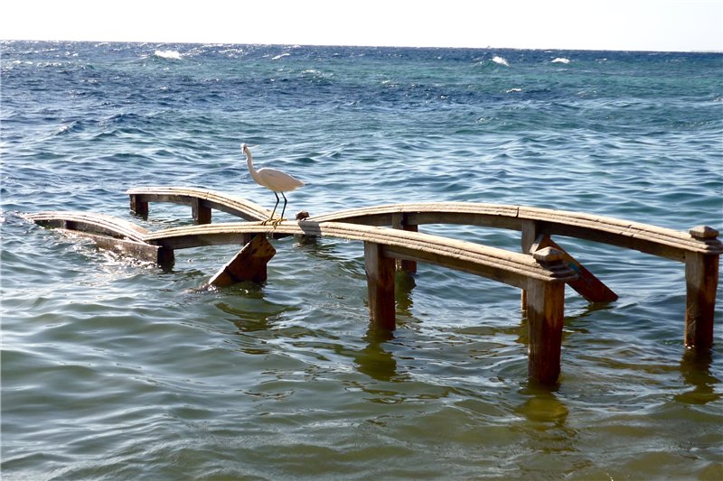 Dahab