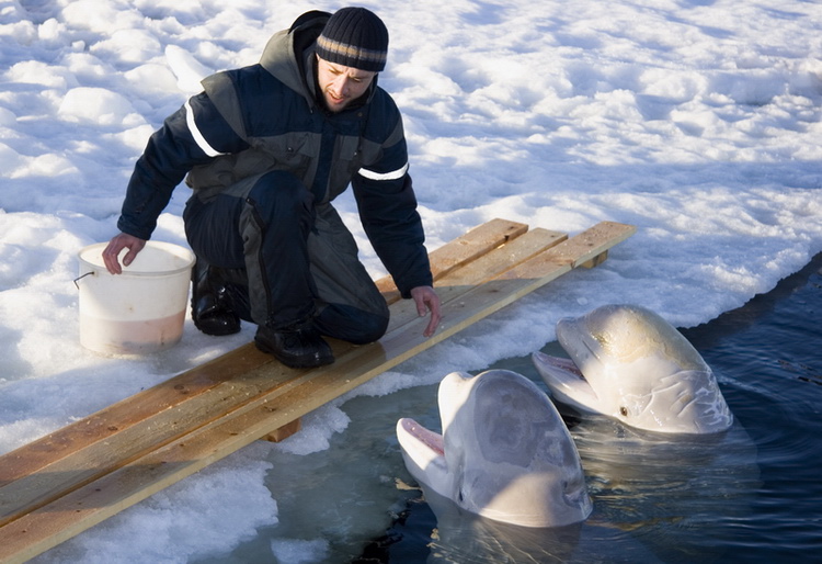 Полярный круг, Нильма, 16 - 18 марта 2007