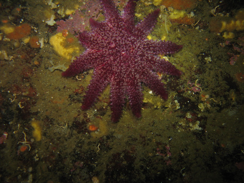 22.09.09. Белое море 22.09.09. Белое море