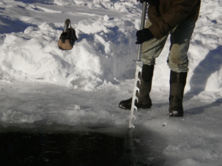 Авроровец на день всех влюбленных Авроровец на день всех влюбленных