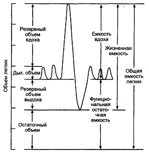 Измерение легочных объемов