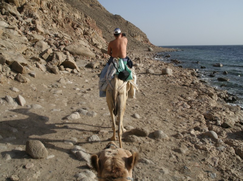 Дахаб 23 февраля Дахаб 23 февраля