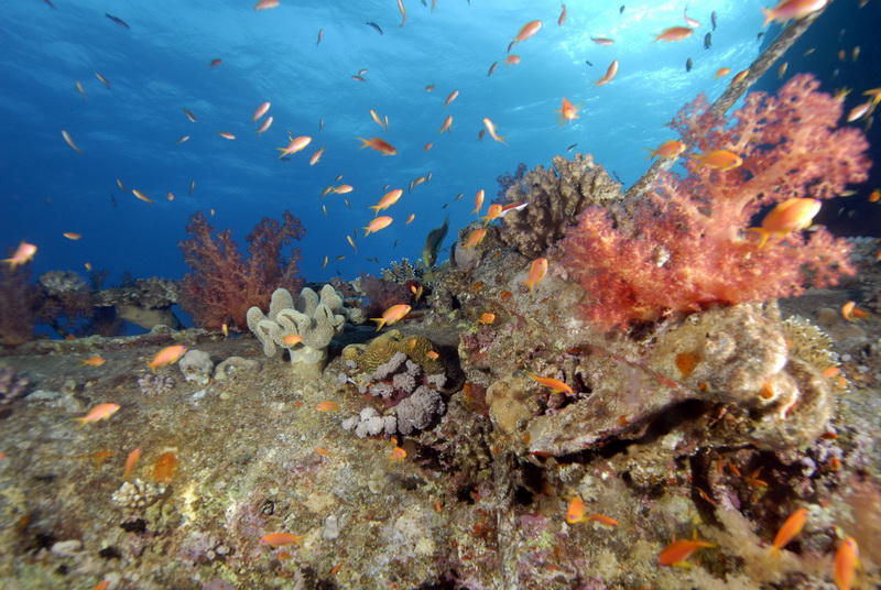 Кр.море март 2010