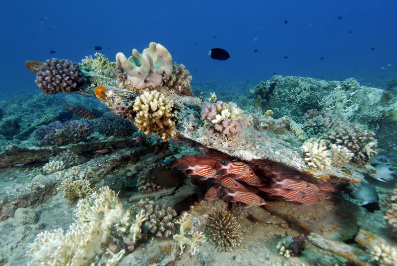 Кр.море март 2010