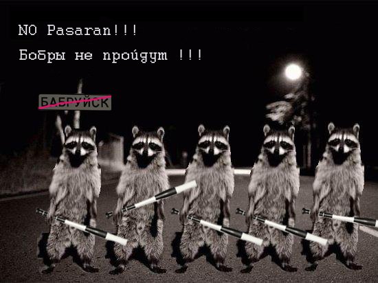 бобры не пройдут