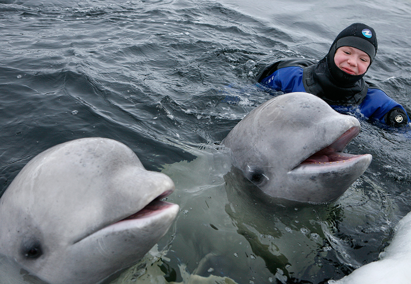 Белое море. Полярный круг. Март 2010