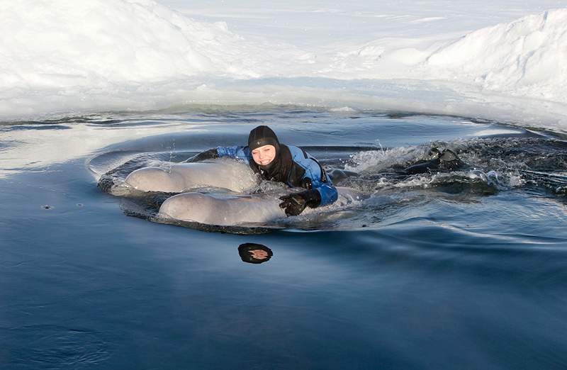 Белое море. Полярный круг. Март 2010 Белое море. Полярный круг. Март 2010