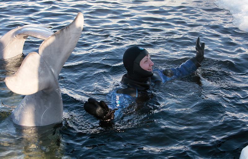 Белое море. Полярный круг. Март 2010