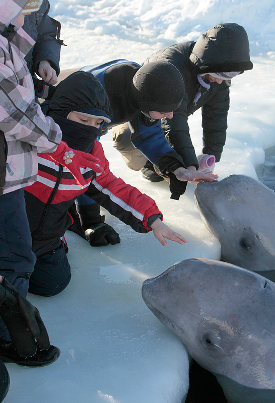 Белое море. Полярный круг. Март 2010