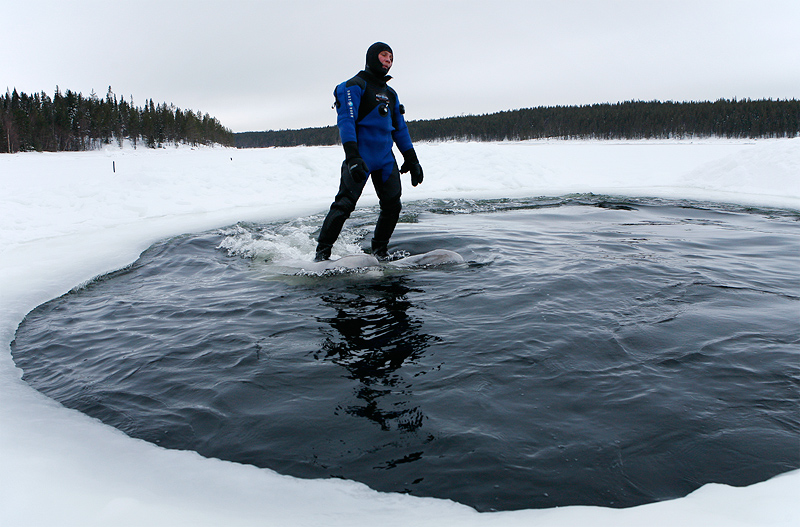 Белое море. Полярный круг. Март 2010 Белое море. Полярный круг. Март 2010