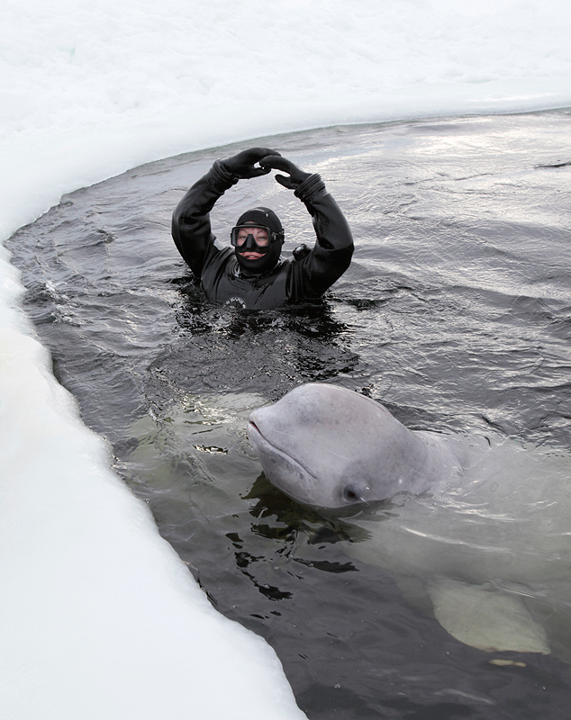 Белое море. Полярный круг. Март 2010