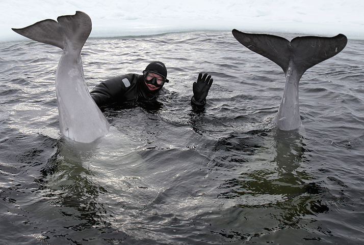 Белое море. Полярный круг. Март 2010
