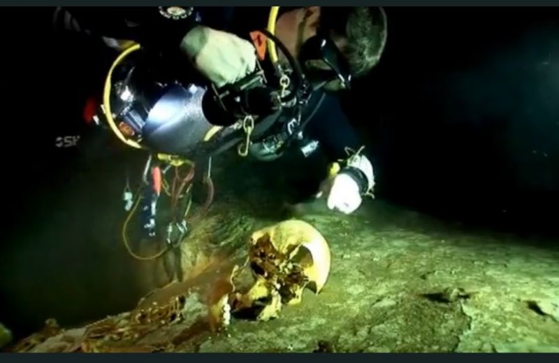 Череп Череп