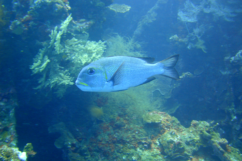 Бали  26.02-10.03.2010