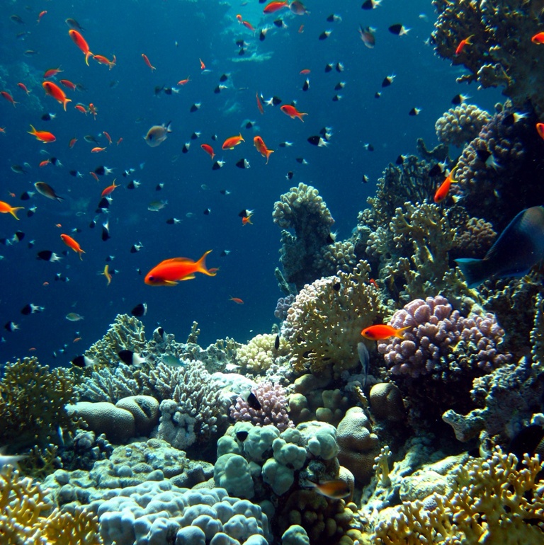 Safety Stop. Safety Stop.