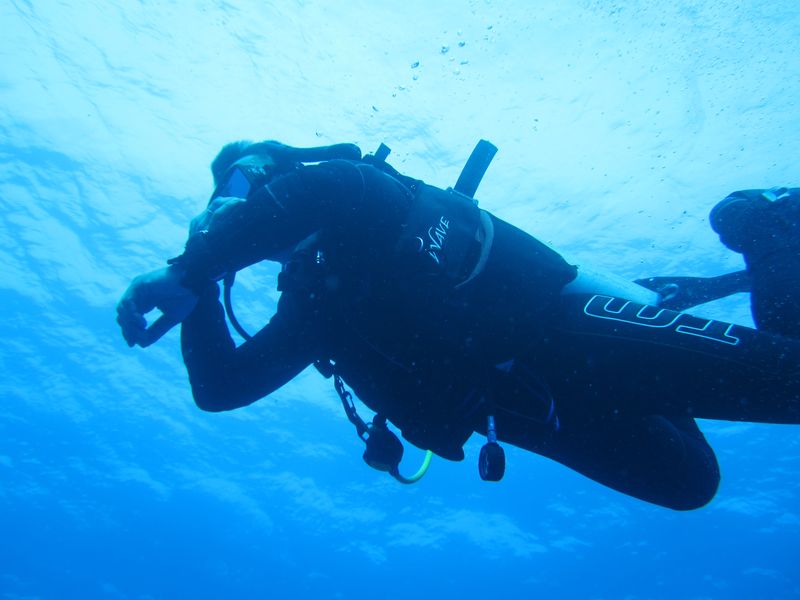 Шарм 04.10 Шарм 04.10