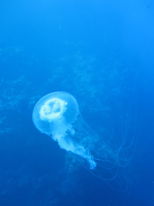 Шарм 04.10 Шарм 04.10