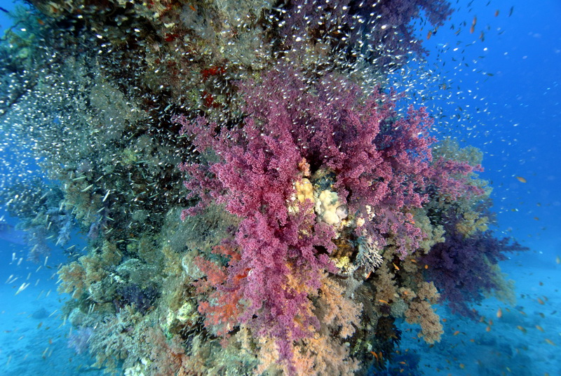 Кр.море май 2010