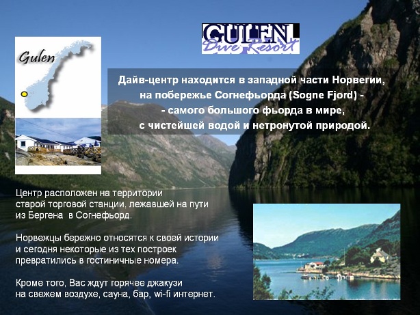 гулен9