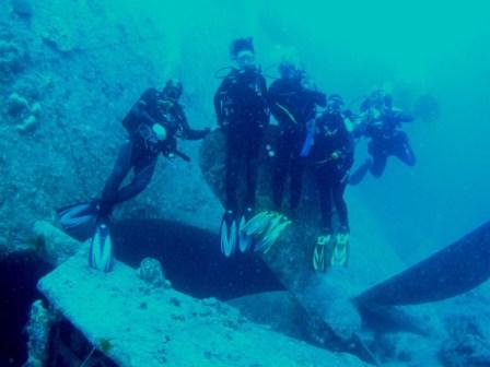 THISTLEGORM