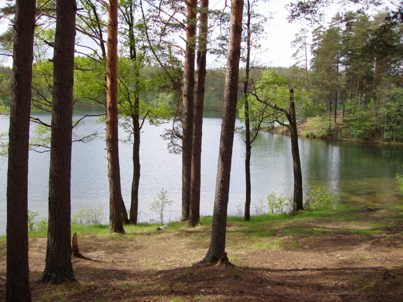 Выезд 29.05.2010