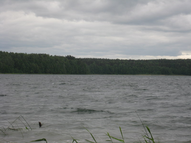 Празднование 100 летия  дня рождения Ж.И. Кусто Празднование 100 летия  дня рождения Ж.И. Кусто