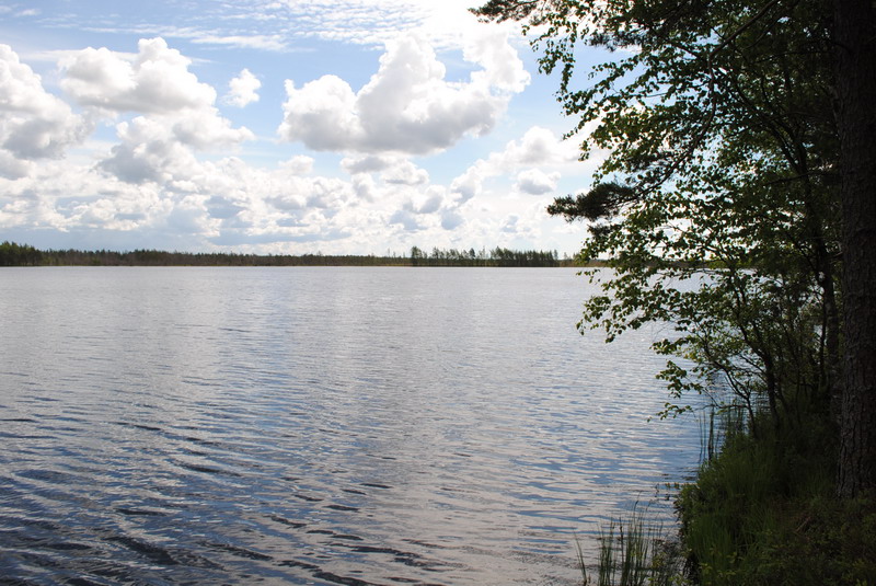 Выезд Барб Дайвер Клуба Выезд Барб Дайвер Клуба