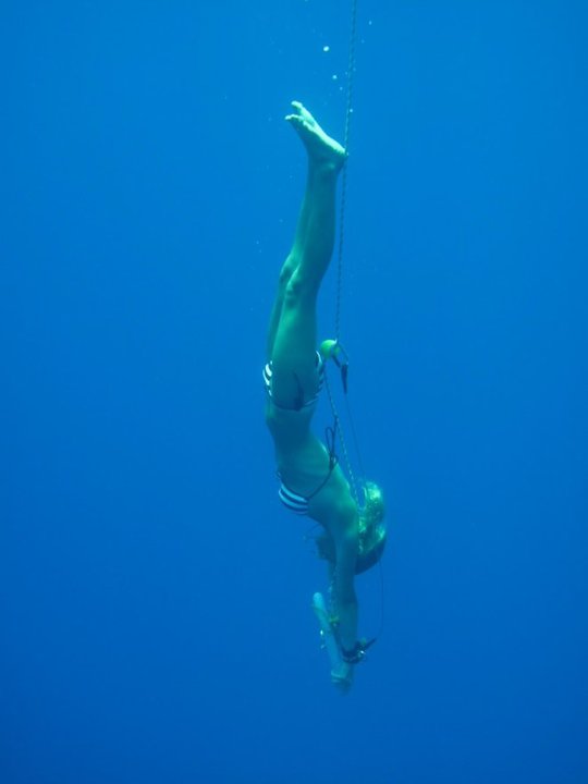 фридайверы фридайверы