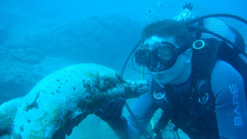 Dolphin Alaniya Dolphin Alaniya