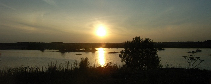 Рокотово 8