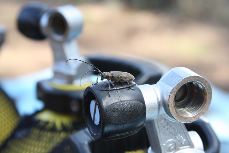 Саперное 17-18 июля Саперное 17-18 июля