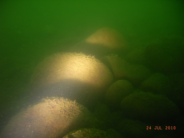 Валуны 3